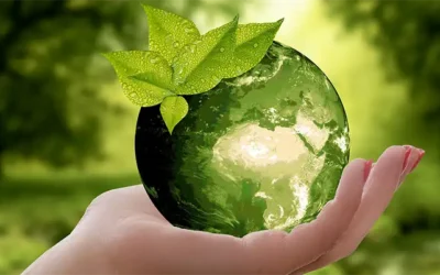 Ecología y energía solar: un cambio necesario