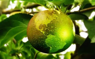 Energía solar y cambio climático: una herramienta clave para reducir emisiones